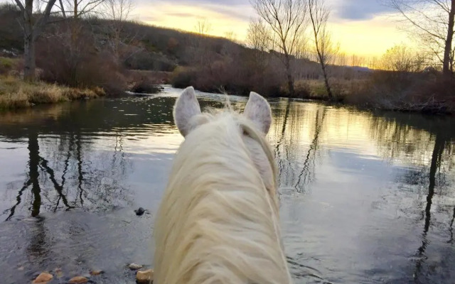 Hotel Rural Penalabra