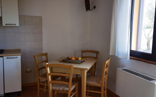 la corte degli ulivi