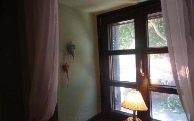 The fig tree house