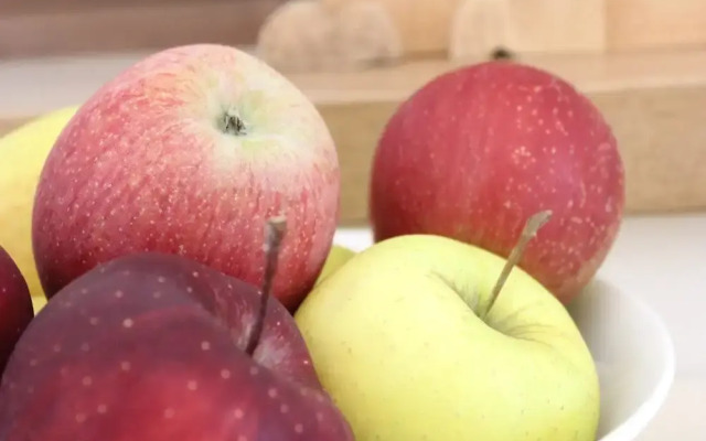 Ca' Marchesi Apartment