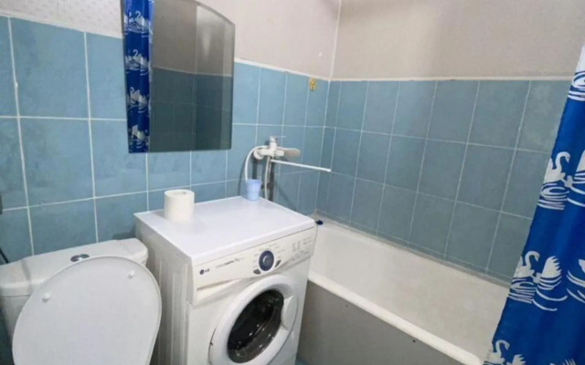 Желтый Нарцисс на улице Войкова