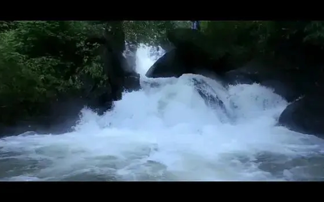 Falcon Crest Vagamon