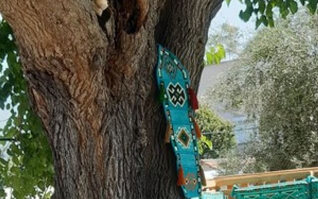 Tas Konak Butik Otel Bungalov