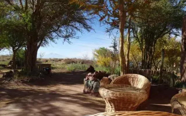 Casa Jardín