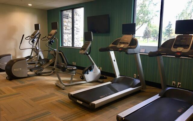 Holiday Inn Express Grand Island - Niagara Falls by IHG