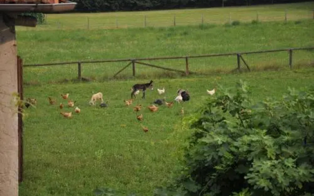 Agriturismo Antica Pieve