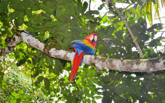 Natuga Ecolodge and Natural Reserve