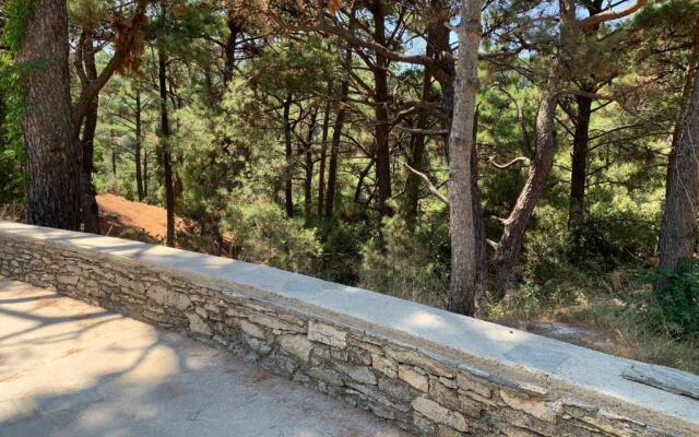 One Bedroom Apartment With Kitchenette# 12 A