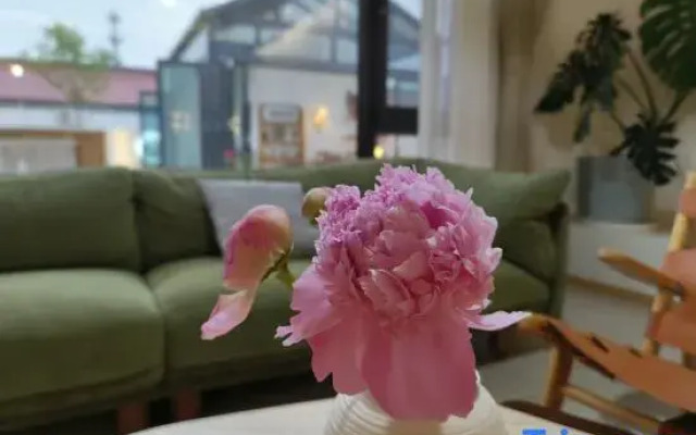 Qingyu Case Homestay