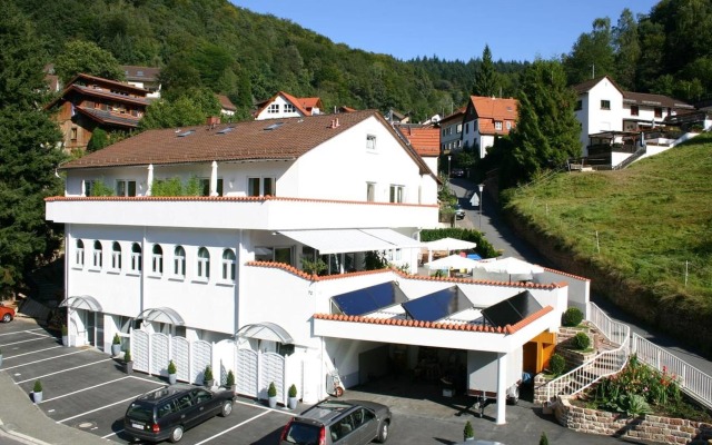 Apartmenthaus "Zum Löwen" Heidelberg - Ziegelhausen