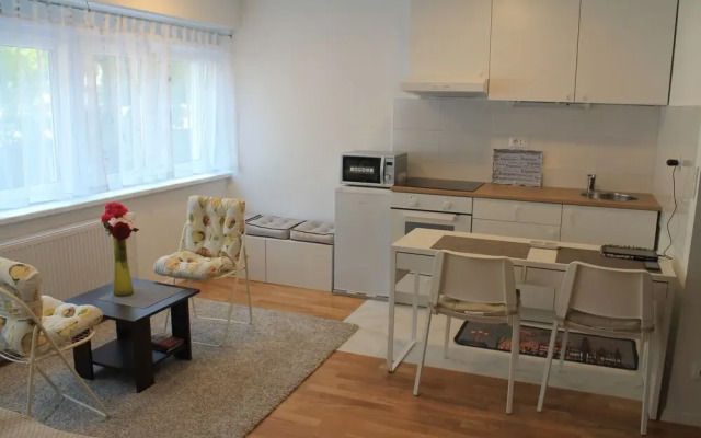 Studio Apartment Mali Ty