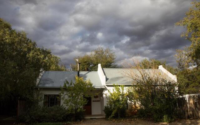 The Olive Thrush Cottage