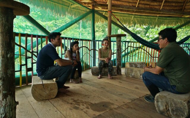 Shapshico Lodge Ayahuasca