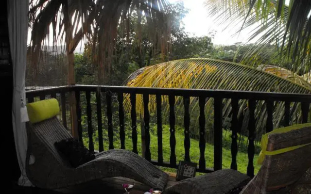 Eden Paradise Spa
