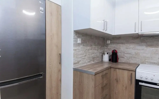 Modern Greek Living Apt in Dafni Athens