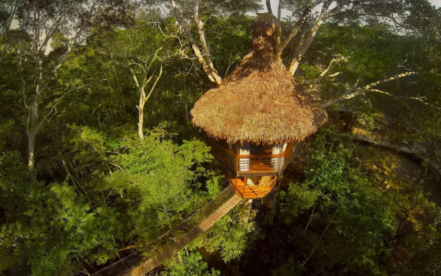 Treehouse Lodge