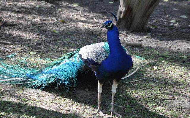 Le Moulin de Villiers