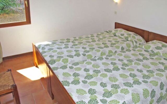 Mari di Soli (PVC402)