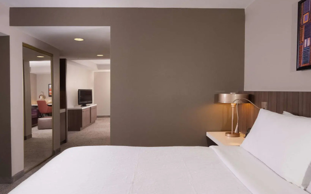 Hilton Garden Inn Atlanta Airport/Millenium Center