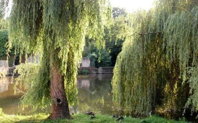 Les ateliers de lAussance