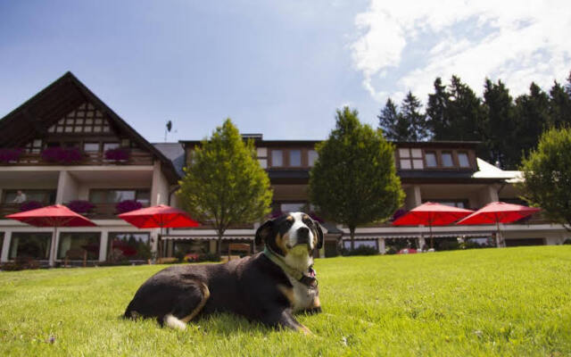 Hotel Kleins Wiese