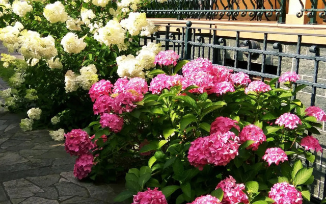 Matt's central place