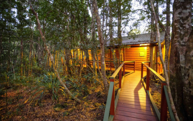 The Mouses House Rainforest Retreat