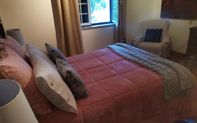 Quinta Souto da Ordem - House