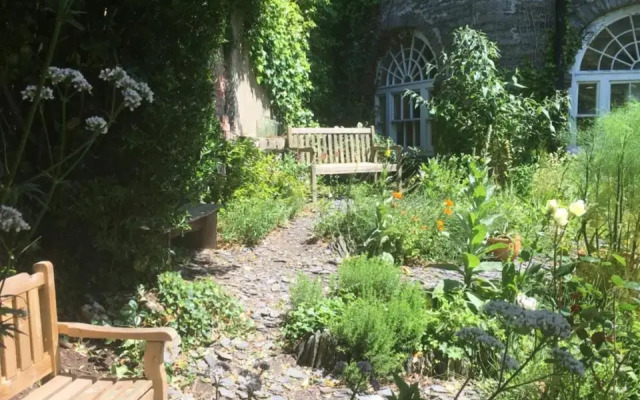 The Art Room