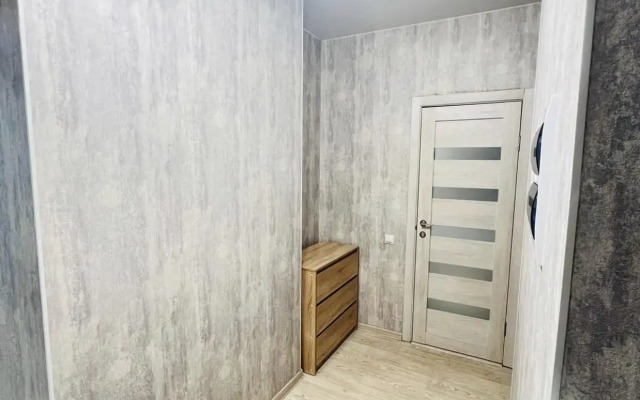 Саквояж на улице Алексеева 46