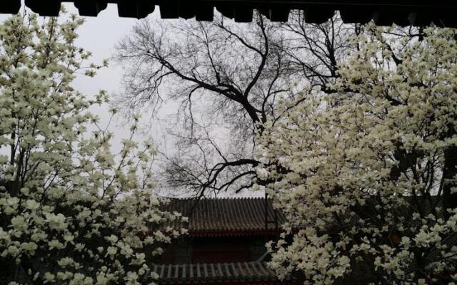 Scholar Tree Courtyard Hotel - Beijing Hebei Guest Hotel