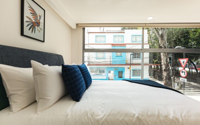 Amazing New Studio Next To Condesa!