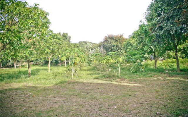 Alicoco Motel & Camping