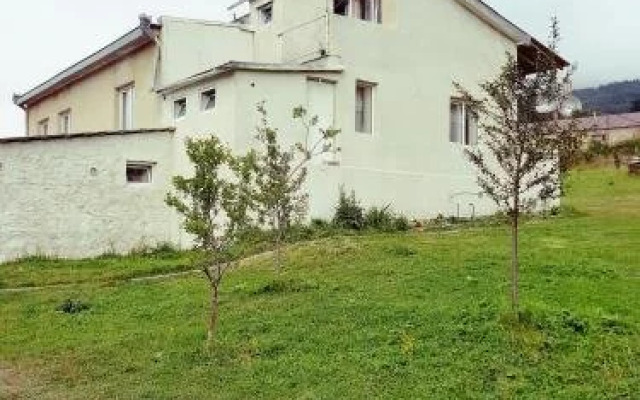 Tsitsia and Stepan Guest House