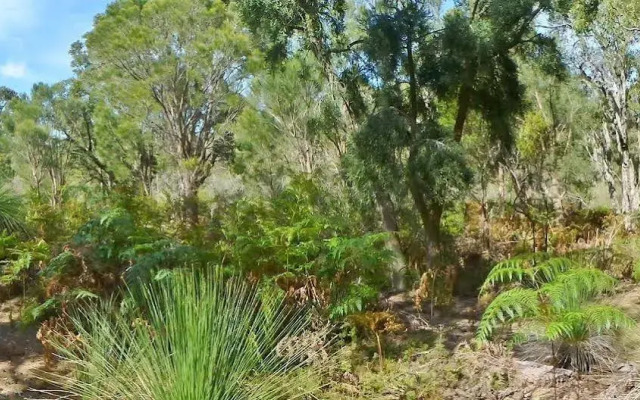 Yelverton Brook Conservation Sanctuary