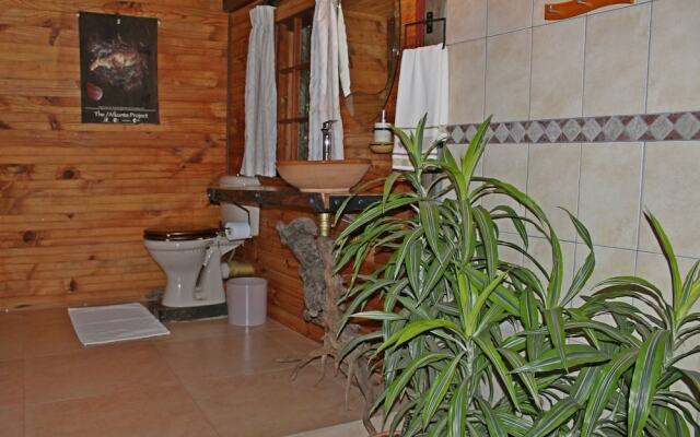 Treks Trips and Trails