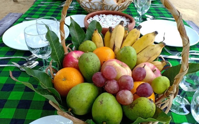 Sunset Safari & Resort