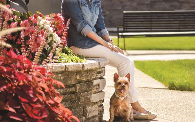 Hyatt Place Chicago/O'Hare Airport