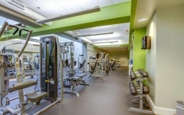 The Woods: Village-14