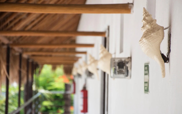 Hotel Maya del Carmen