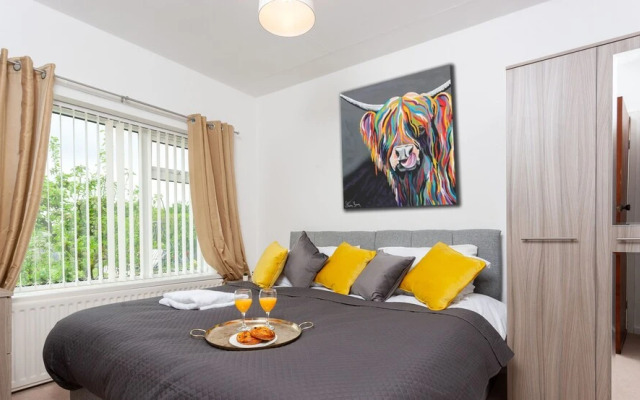 HC Property - Vale View