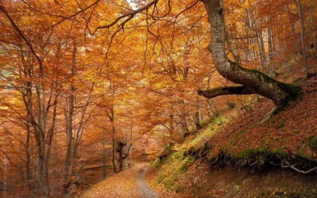 Casa Rural La Campana 4 Habitaciones 2 Supletorias Ático Opcional 4 pax