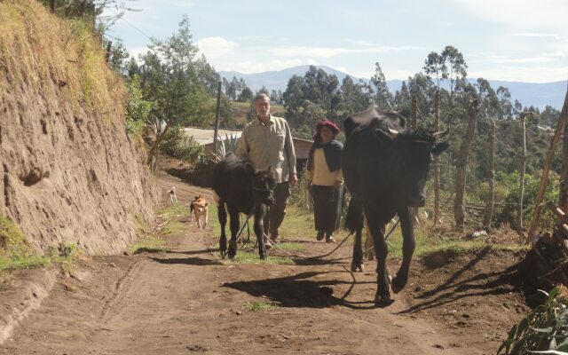 Loma Wasi Village