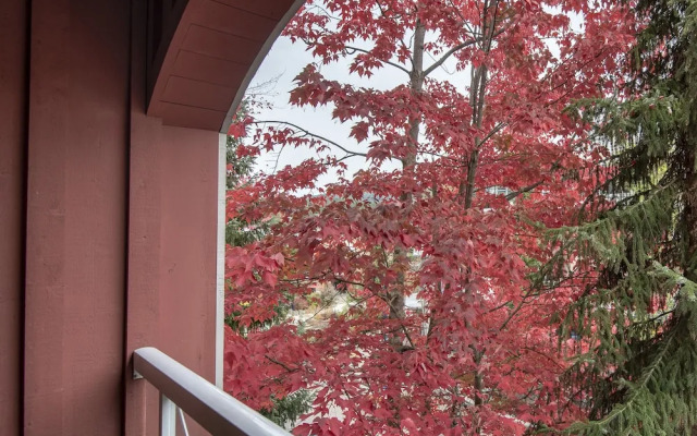 Whistler Town Plaza