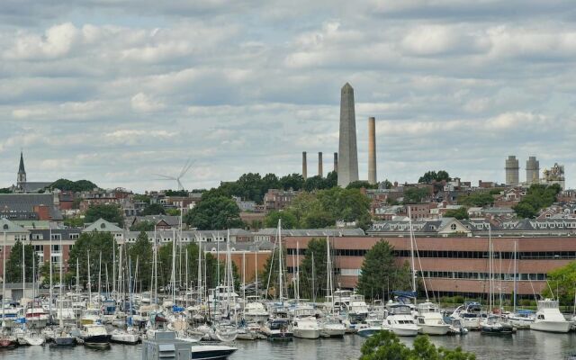 Fantastic 2br/1ba Apt in North End by Domio