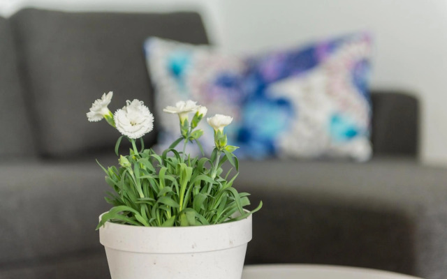 Mikkeli Citycenter apartment with sauna