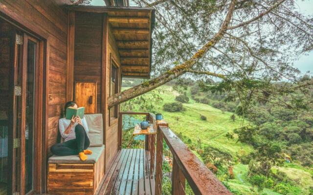 La Gloria Reserva Forestal