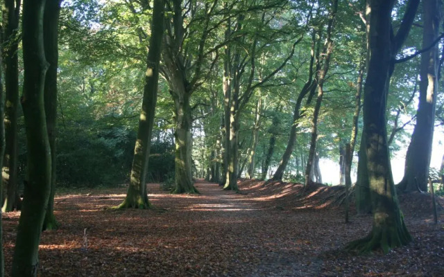 Bed & Breakfast Glimmen