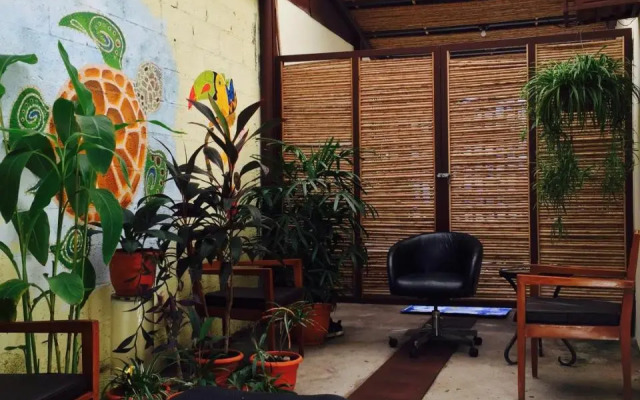 Hostel Dodero