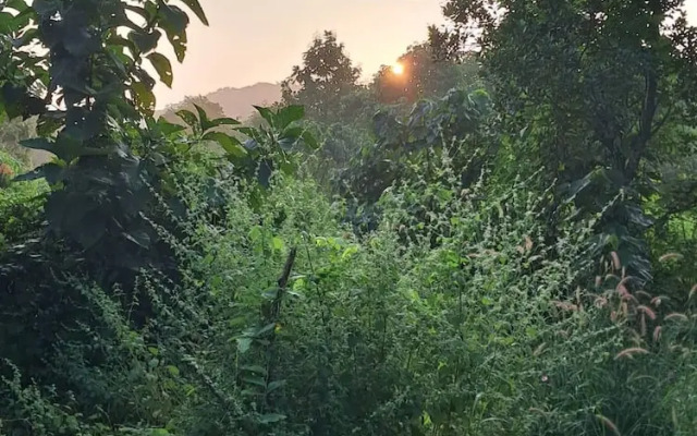 Room-serene Arambol Retreat - Private St